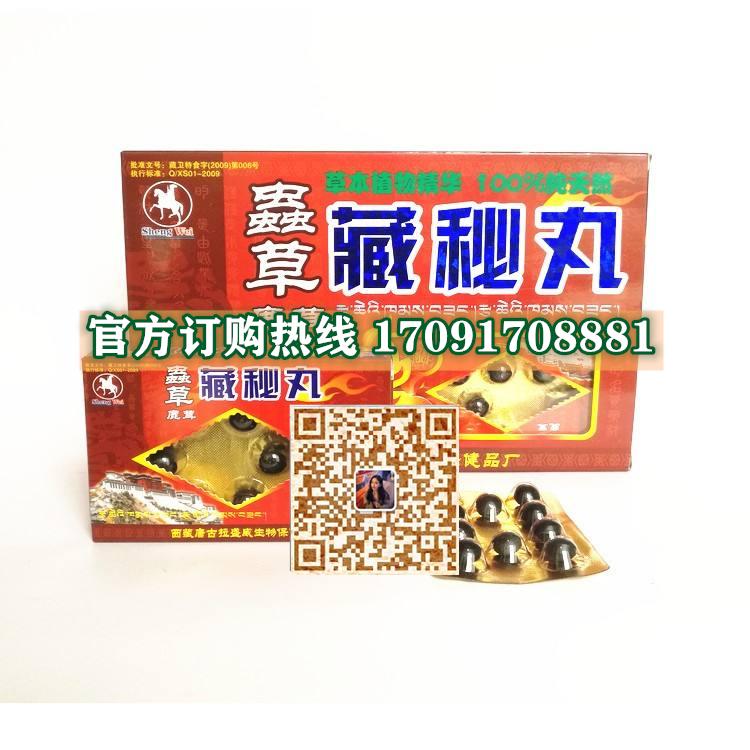 虫草鹿茸藏秘丸功效作用成分一览表:售价具体多少(图2)