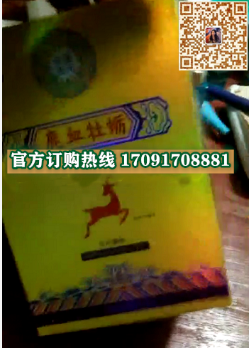 天盈正元鹿血牡蛎价格多少(功效作用介绍)新品上市一览表(图2)