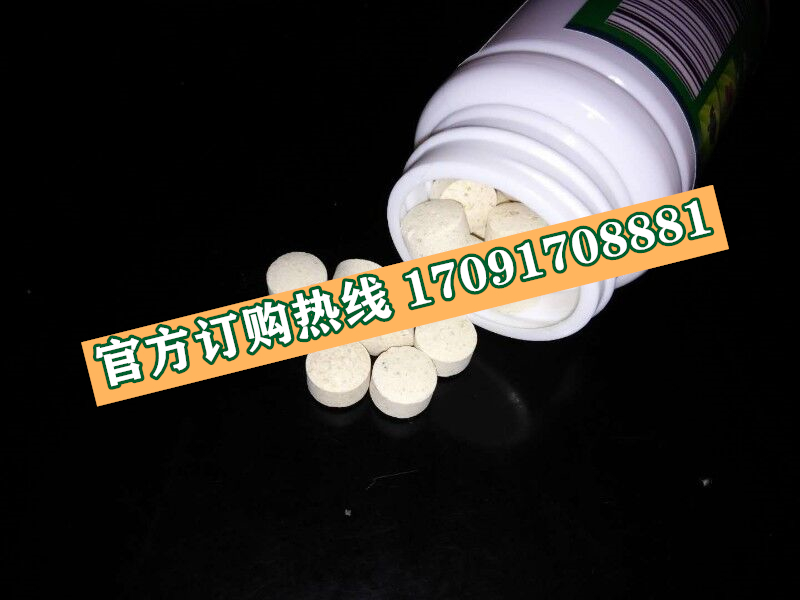 地中煌参精片功效作用成分一览表:售价具体多少(图2)