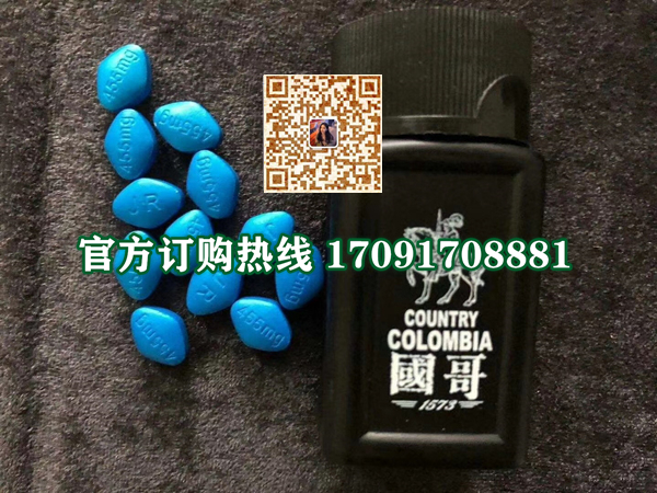 国哥1573效果果然不同凡响)价格多少+新品上市(图2)