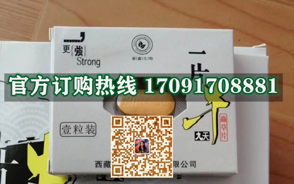 一片牛九天功效作用成分一览表:售价具体多少(图2)