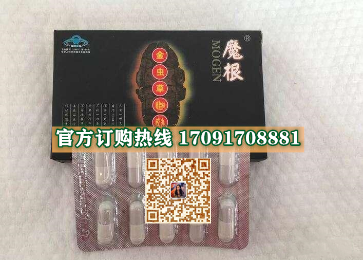 魔根金虫草多少钱〔功效作用-用法用量〕火爆上市(图2)