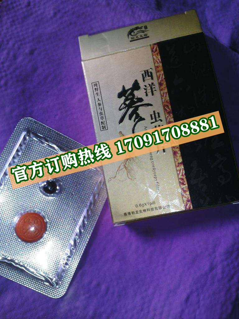 西洋参虫草片价格多少(功效作用介绍)新品上市一览表(图2)