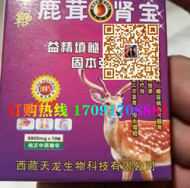 十***鹿茸肾宝功效作用成分一览表:售价具体多少(图2)
