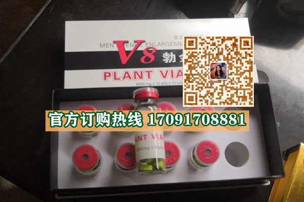 V8勃金片效果果然不同凡响)价格多少+新品上市(图2)