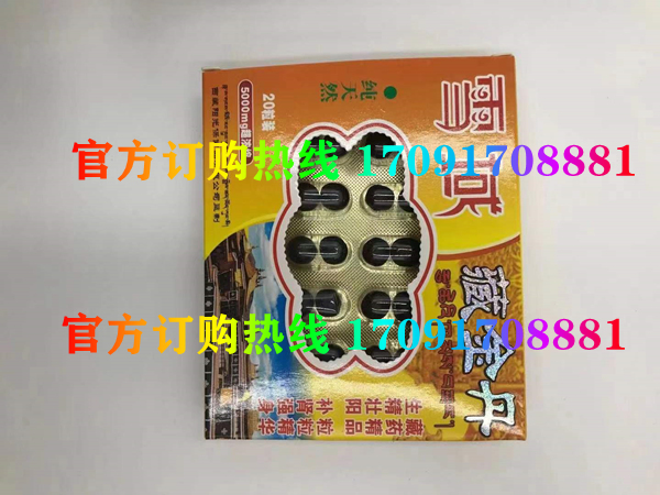 雪域藏金丹效果果然不同凡响)价格多少+新品上市(图2)
