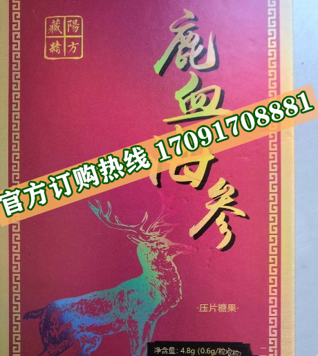 藏阳精方鹿血海参片效果究竟怎么样〔火爆上市〕价格多少钱(图2)