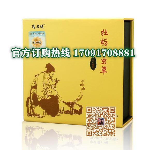 速力健牡蛎蛹虫草价格多少(功效作用介绍)新品上市一览表(图2)