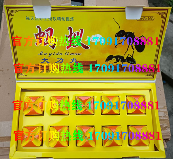 蚂蚁大力丸价格多少(功效作用介绍)新品上市一览表(图2)