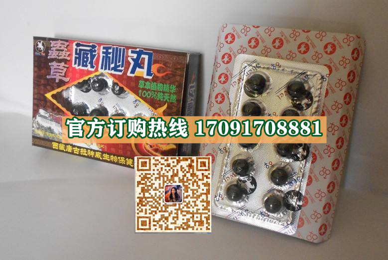 虫草藏秘丸价格多少(功效作用介绍)新品上市一览表(图2)