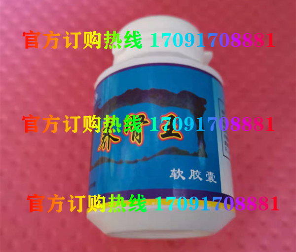 养肾王软胶囊价格多少(功效作用介绍)新品上市一览表(图2)