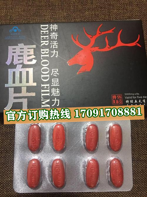 鹿血片多少钱〔功效作用-用法用量〕火爆上市(图2)