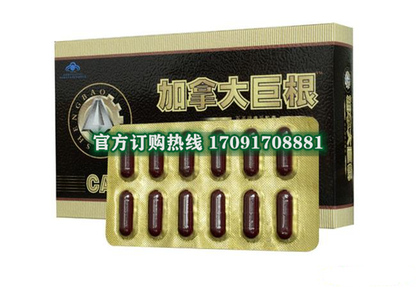 加拿大巨根多少钱〔功效作用-用法用量〕火爆上市(图2)
