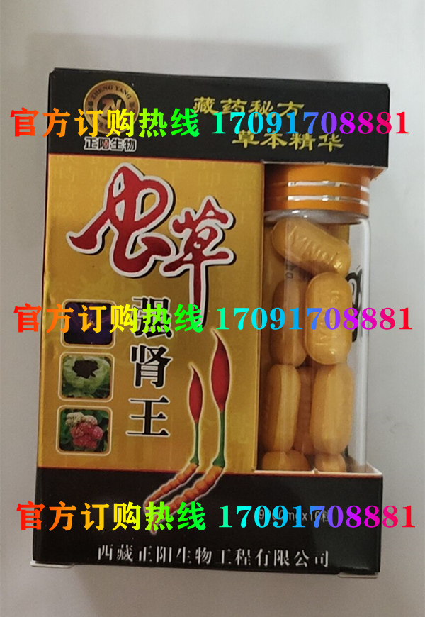 正阳虫草强肾王价格多少(功效作用介绍)新品上市一览表(图2)