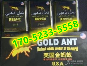 美国金蚂蚁多少钱 危害及作用真相终于被揭 必看