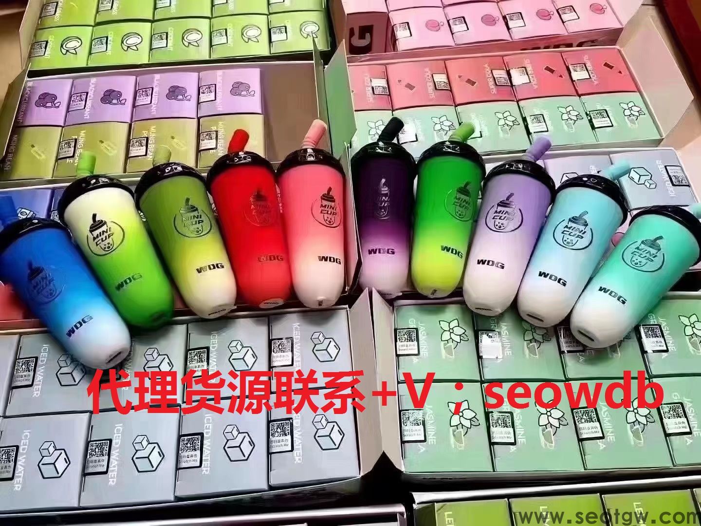 wdg奶茶杯电子yan多少钱？wdg奶茶杯在哪买？