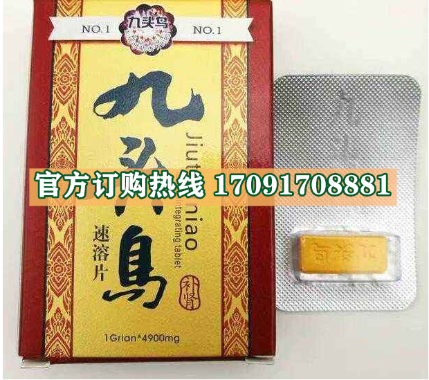 九头鸟速溶片真实效果分享好评如潮(价格一览表)(图2)