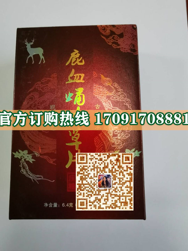 鹿血蛹虫草片多少钱一盒(新闻报道)功效作用简介(图2)